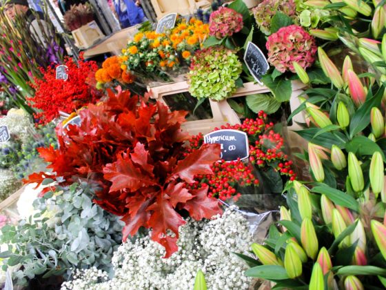 Lugares con encanto de Londres. Visita el mercado de flores de Columbia Road.